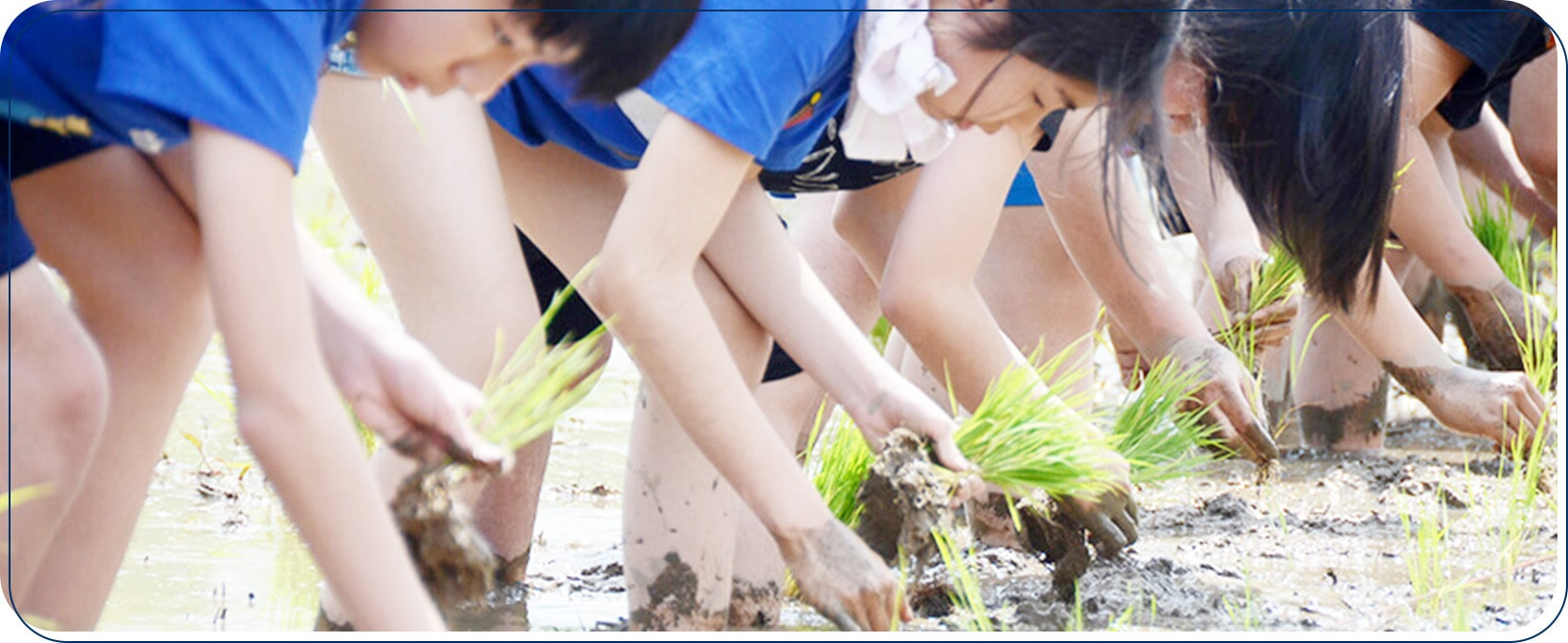 水田学習